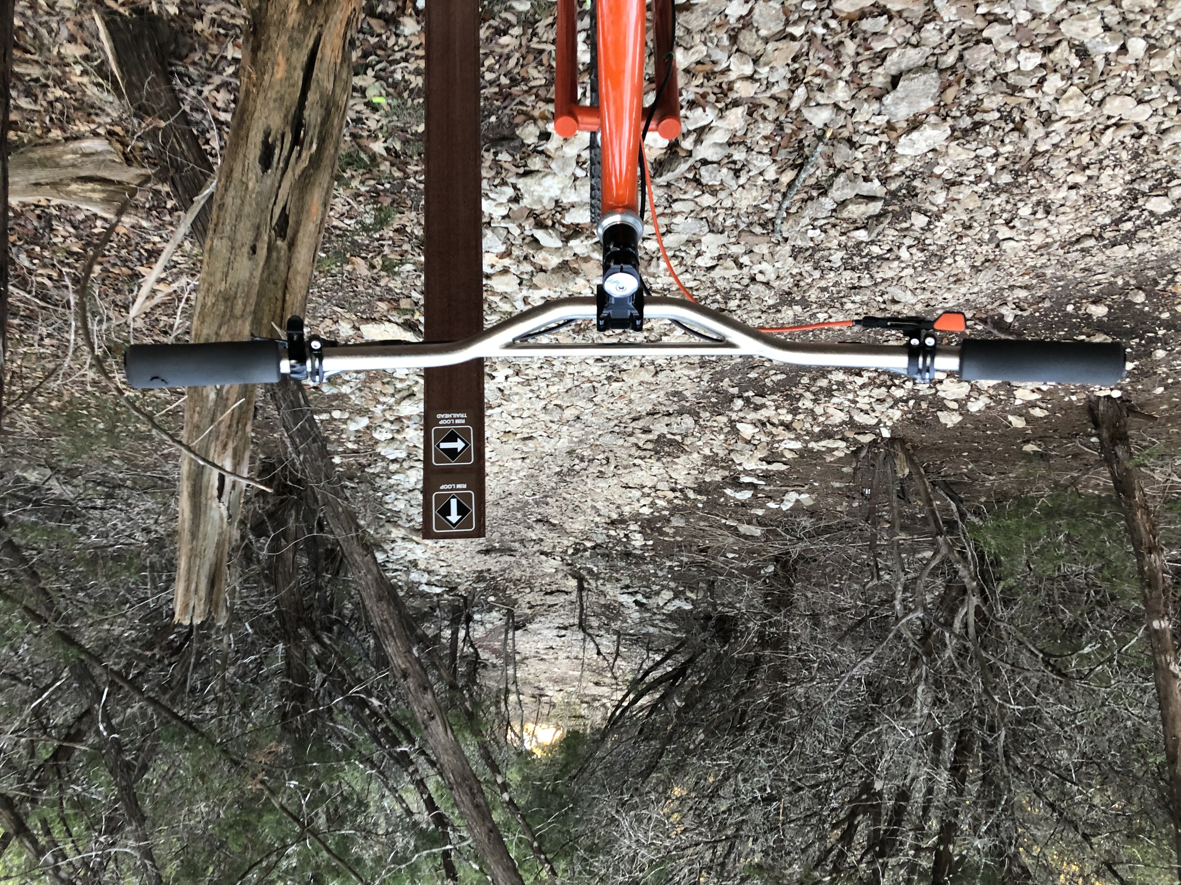 Singlespeed mountain bike on the trail